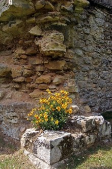 О чем обычно молчат путеводители... Аббатство Нетли