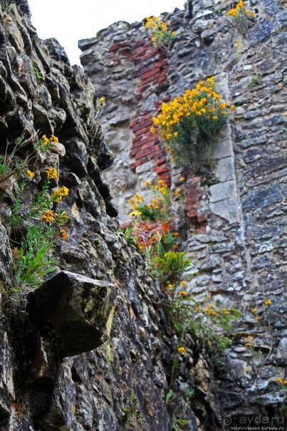 О чем обычно молчат путеводители... Аббатство Нетли