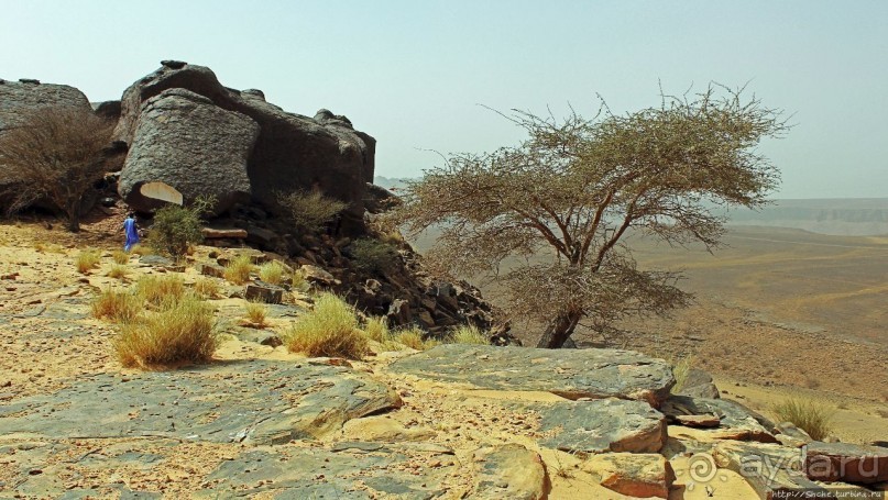 Древняя стоянка караванщиков и рисунки в пещере