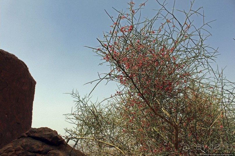 Древняя стоянка караванщиков и рисунки в пещере