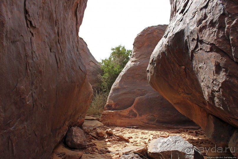 Древняя стоянка караванщиков и рисунки в пещере