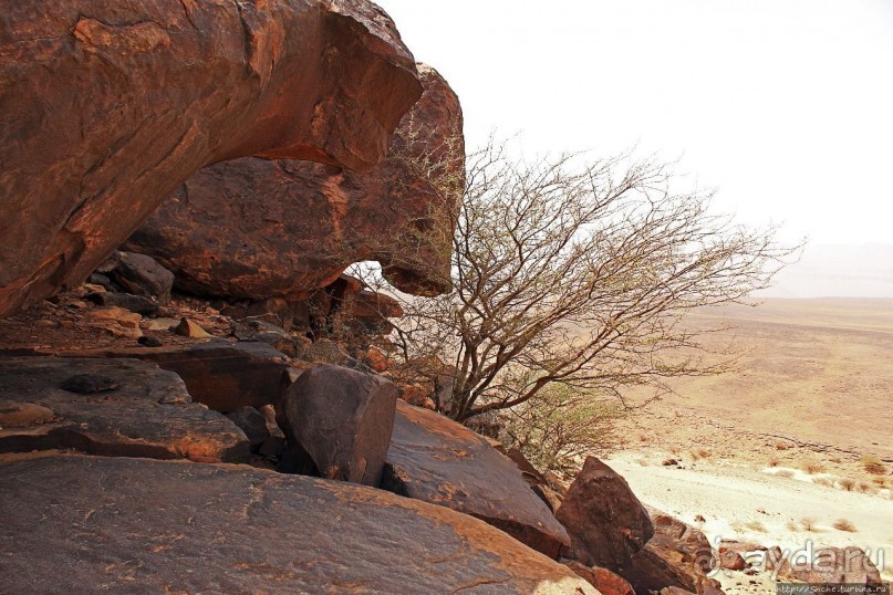 Древняя стоянка караванщиков и рисунки в пещере