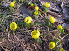 Прогулка вокруг Kastellet, крепость-парк.