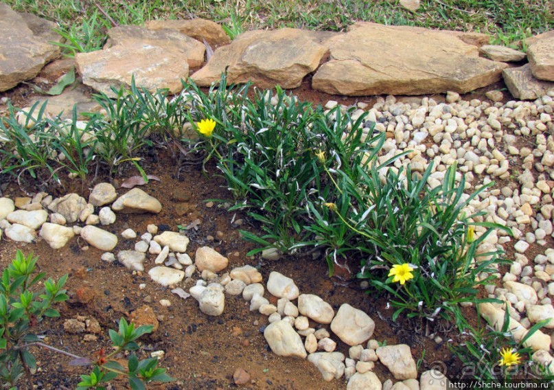 Один из лучших отелей на востоке Мадагаскара