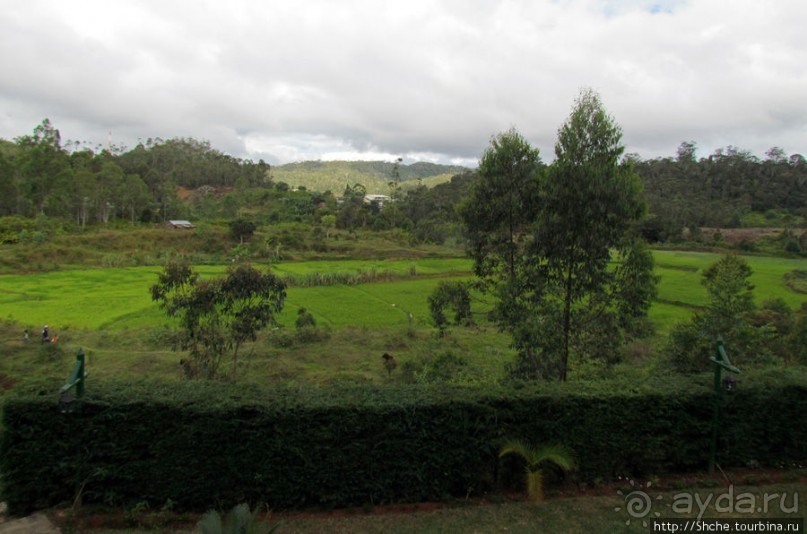 Один из лучших отелей на востоке Мадагаскара