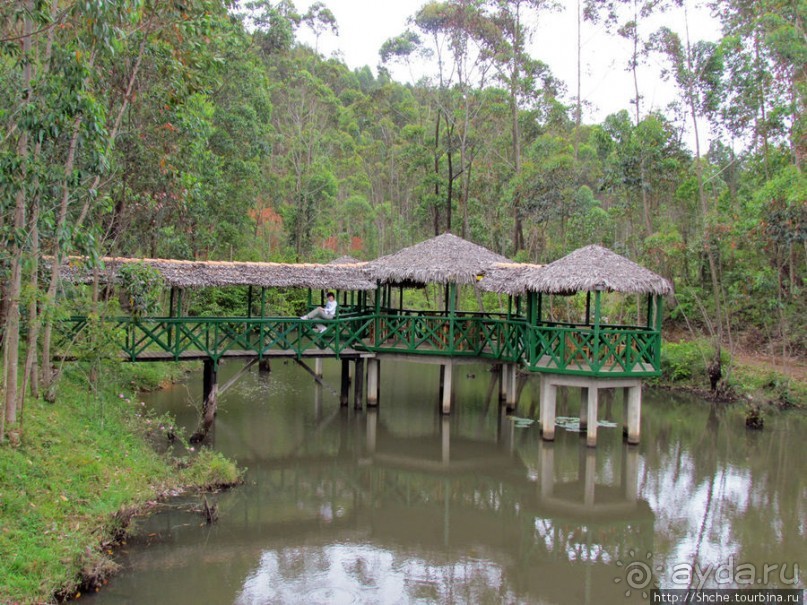 Один из лучших отелей на востоке Мадагаскара