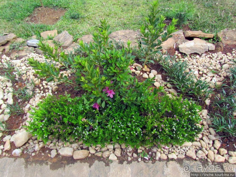 Один из лучших отелей на востоке Мадагаскара