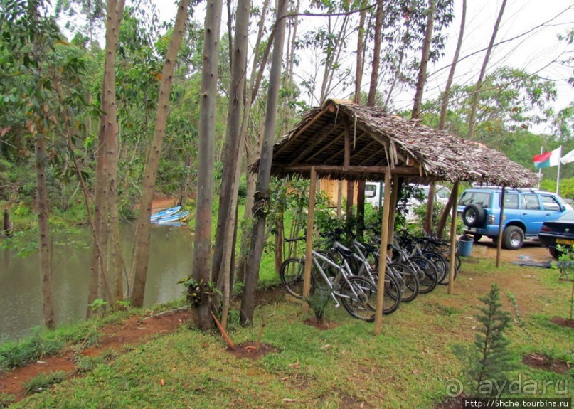 Один из лучших отелей на востоке Мадагаскара