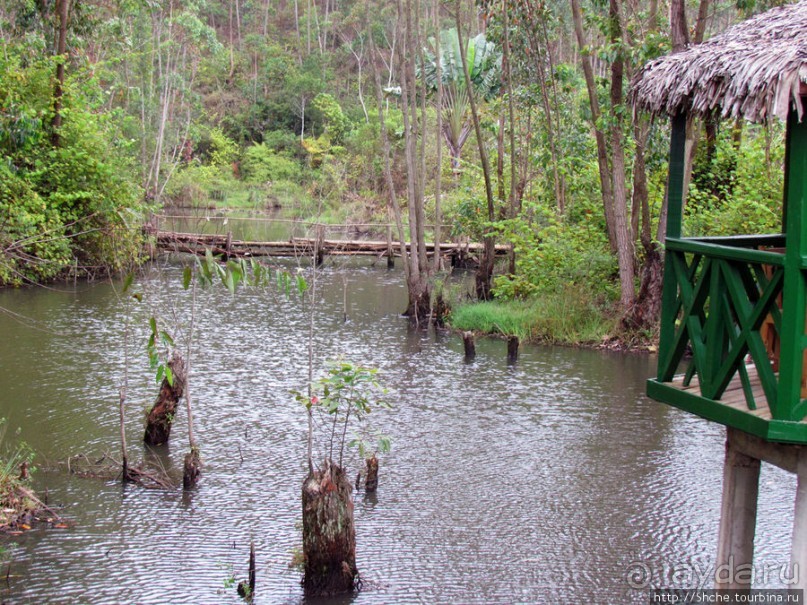 Один из лучших отелей на востоке Мадагаскара