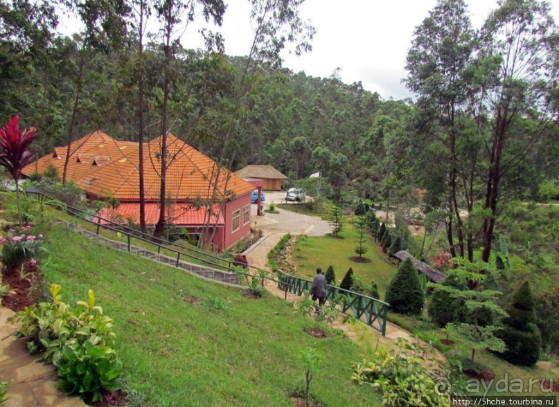 Один из лучших отелей на востоке Мадагаскара