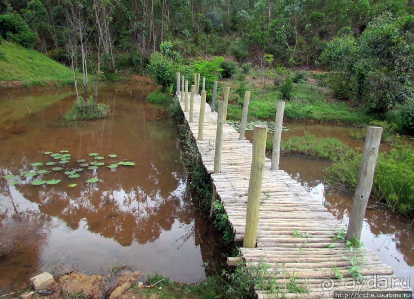 Один из лучших отелей на востоке Мадагаскара