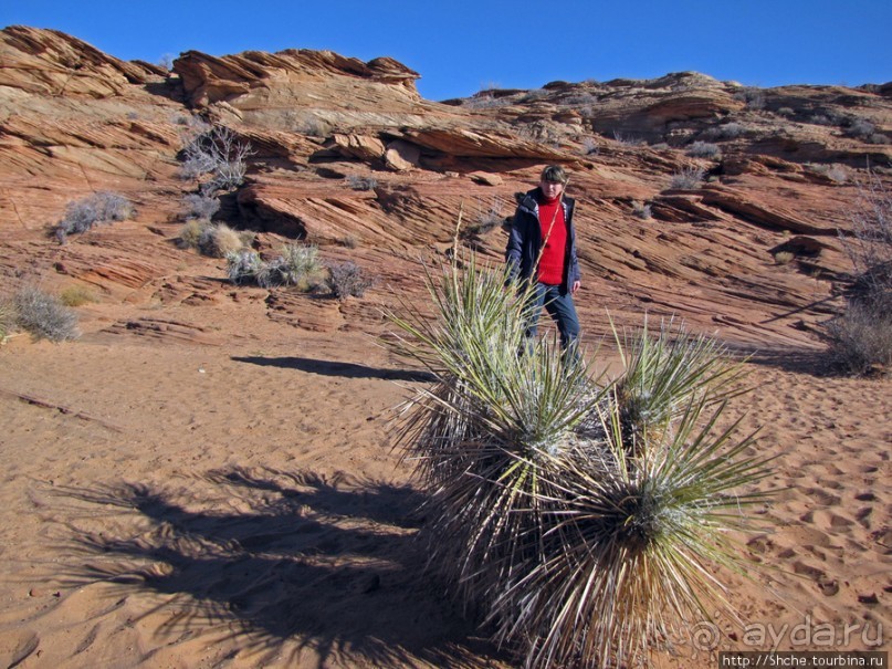 Пэйдж и окрестности. Четыре достопримечательность города.