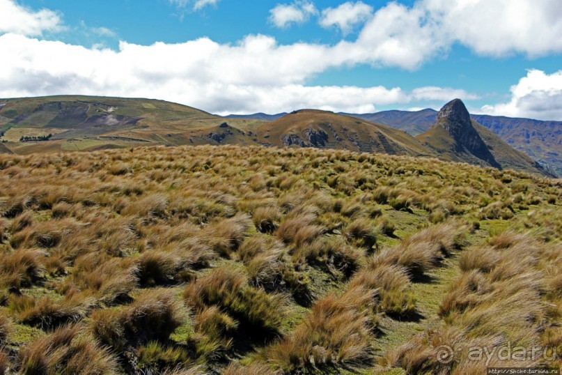 Эквадорский Мачу-Пикчу, или мое больное воображение