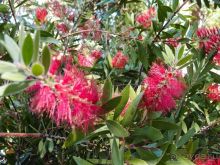 Солнечная вершина