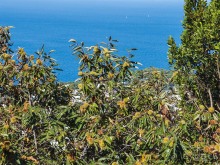 Солнечная вершина