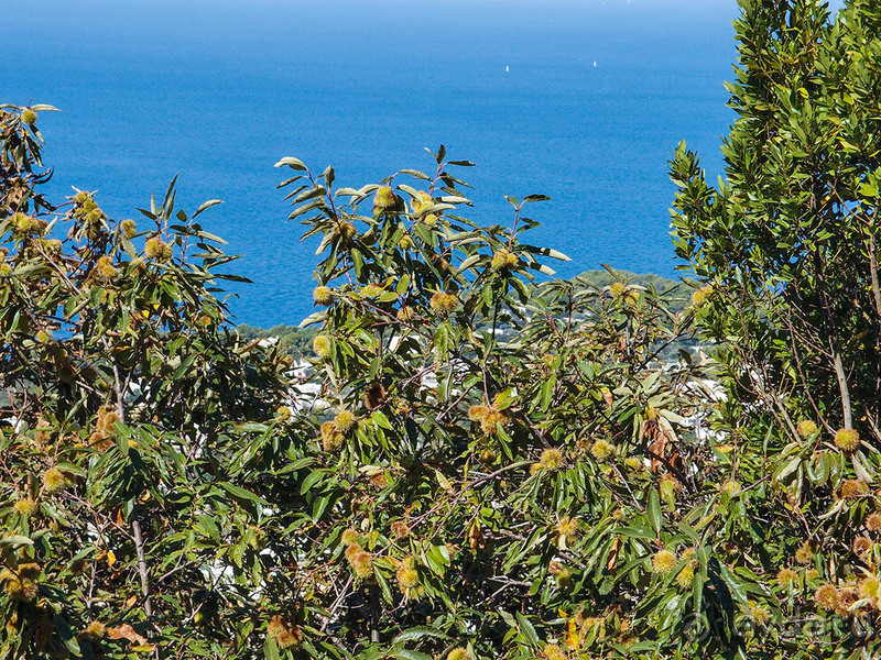 Солнечная вершина