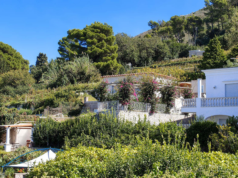 Солнечная вершина