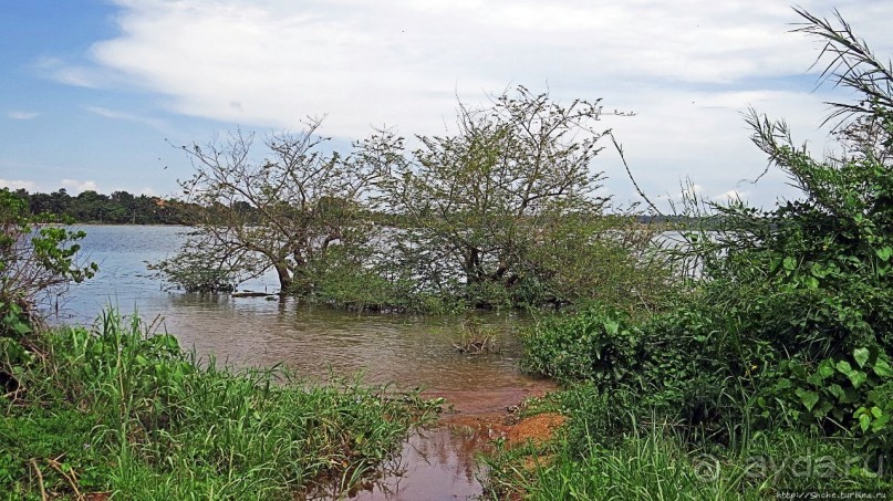 Берега Виктории