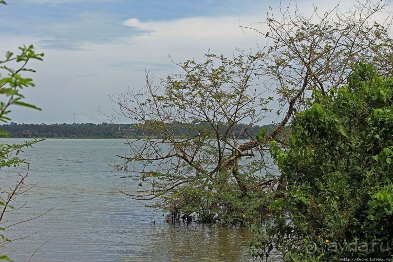 Берега Виктории