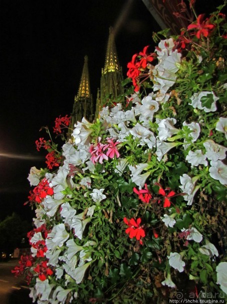 Ночная прогулка по Вене к церкви Votivkirche