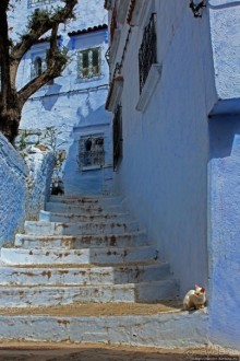Вертикальный Шефшауэн — голубой город в Марокко