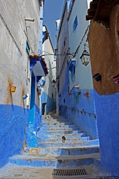 Вертикальный Шефшауэн — голубой город в Марокко