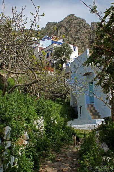 Вертикальный Шефшауэн — голубой город в Марокко