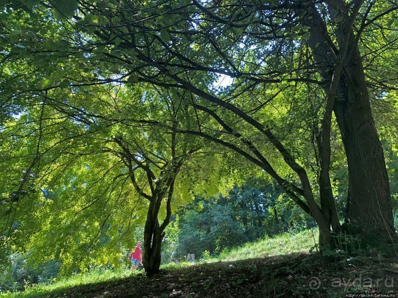 Град над городом стоит... Люблянская крепость