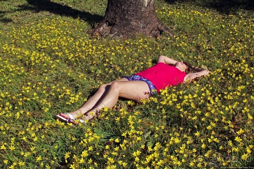 Еще одна "именная" пещера на Бермудах и желтые подснежники