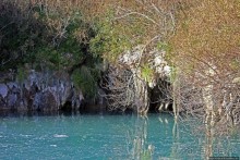 Еще одна "именная" пещера на Бермудах и желтые подснежники