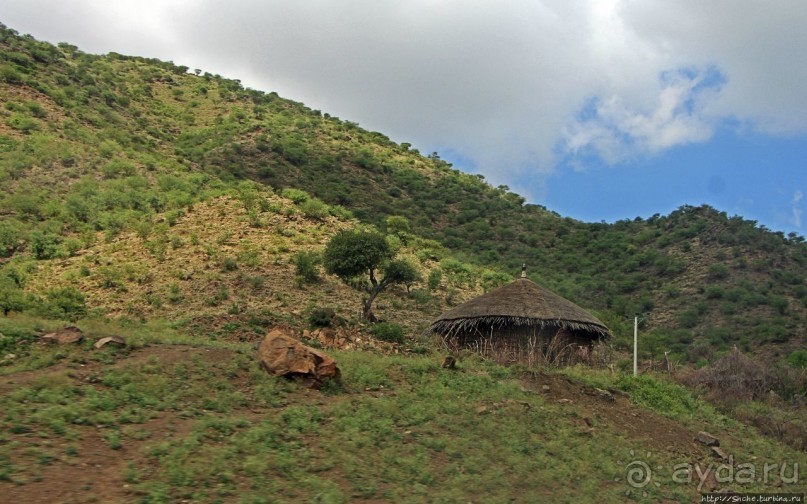 Эфиопские картинки. Дорога в Лалибелу. Регион Амхара