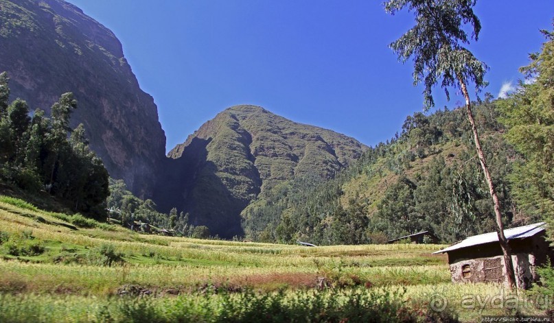 Эфиопские картинки. Дорога в Лалибелу. Регион Амхара
