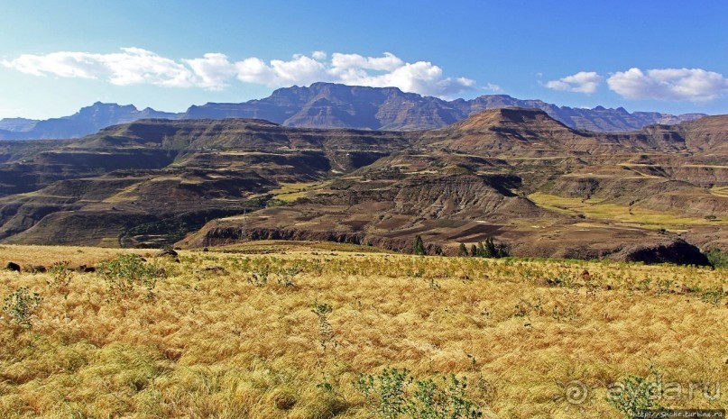 Эфиопские картинки. Дорога в Лалибелу. Регион Амхара