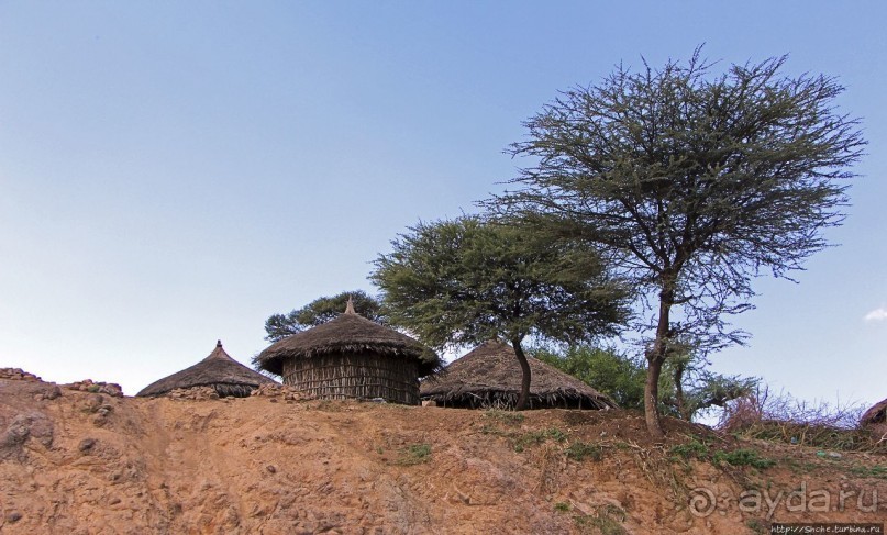 Эфиопские картинки. Дорога в Лалибелу. Регион Амхара