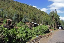 Эфиопские картинки. Дорога в Лалибелу. Регион Амхара