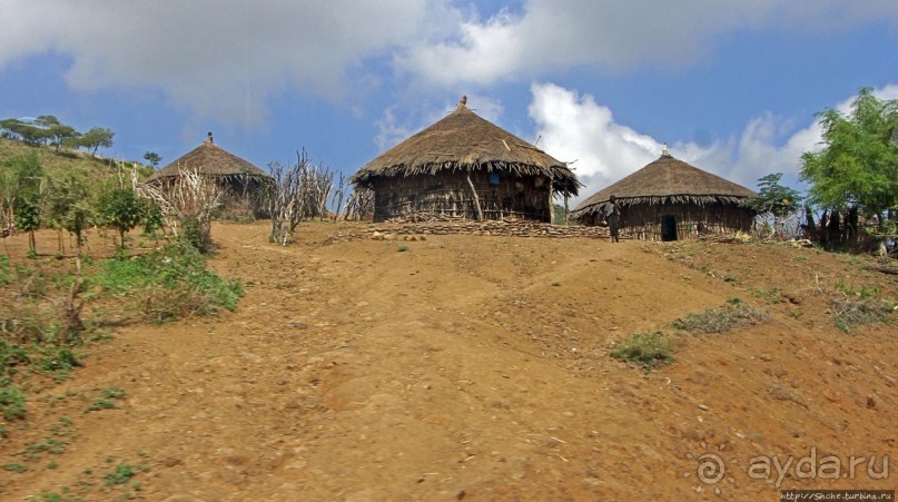 Эфиопские картинки. Дорога в Лалибелу. Регион Амхара