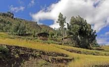 Эфиопские картинки. Дорога в Лалибелу. Регион Амхара