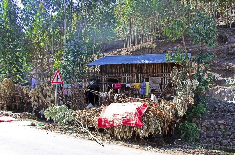 Эфиопские картинки. Дорога в Лалибелу. Регион Амхара