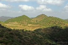 Эфиопские картинки. Дорога в Лалибелу. Регион Амхара