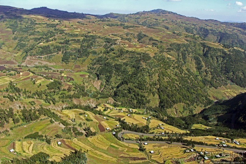 Эфиопские картинки. Дорога в Лалибелу. Регион Амхара