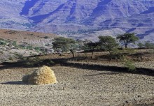 Эфиопские картинки. Дорога в Лалибелу. Регион Амхара