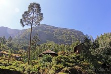 Эфиопские картинки. Дорога в Лалибелу. Регион Амхара