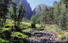 Эфиопские картинки. Дорога в Лалибелу. Регион Амхара