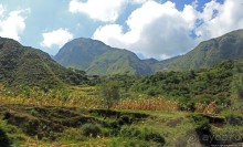 Эфиопские картинки. Дорога в Лалибелу. Регион Амхара