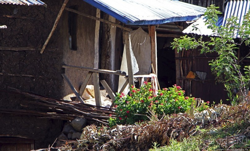 Эфиопские картинки. Дорога в Лалибелу. Регион Амхара