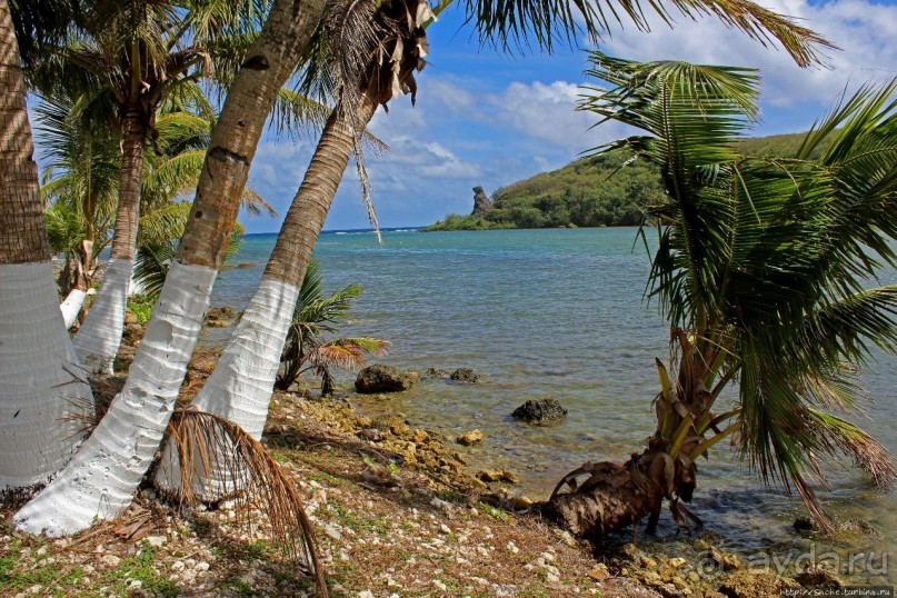 Медведь-скала на юге Гуама