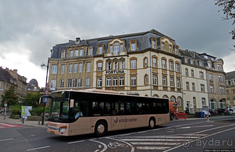 Бешеной собаке семь верст не крюк