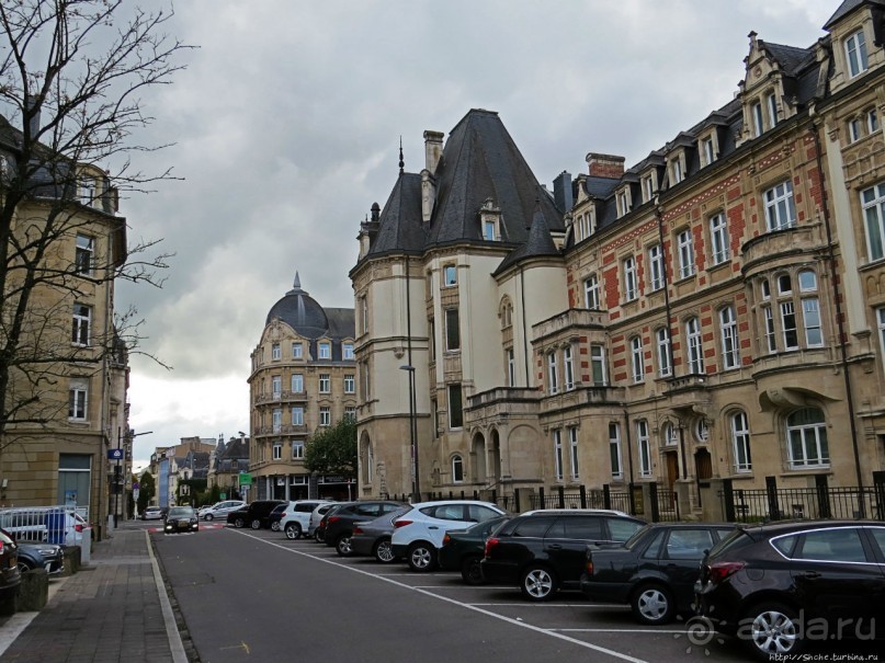 Бешеной собаке семь верст не крюк