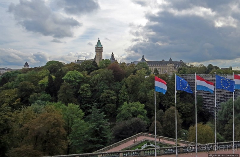 Бешеной собаке семь верст не крюк