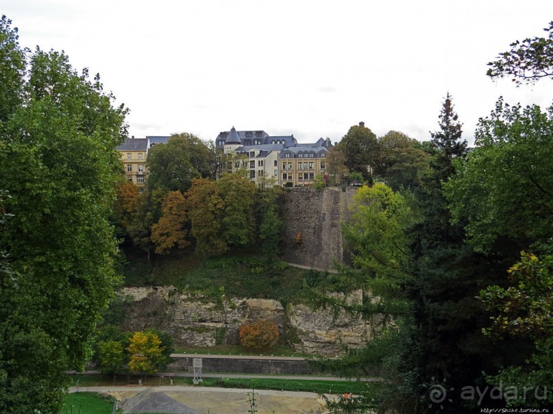 Бешеной собаке семь верст не крюк
